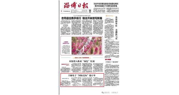 丰雁电子荣登《淄博日报》头版